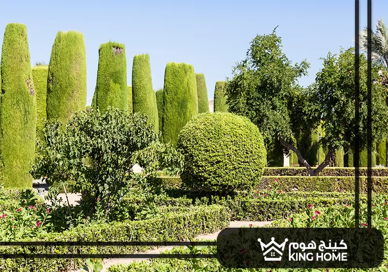 شركة تنسيق حدائق في ام القيوين