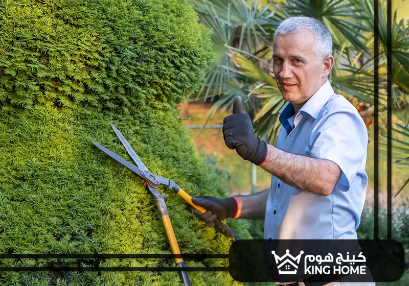 شركة تنسيق حدائق في الفجيرة