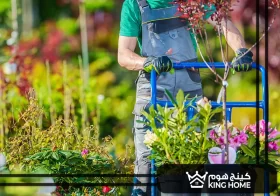 تنسيق حدائق الامارات