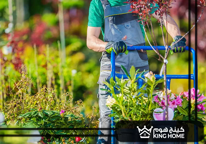 تنسيق حدائق الامارات