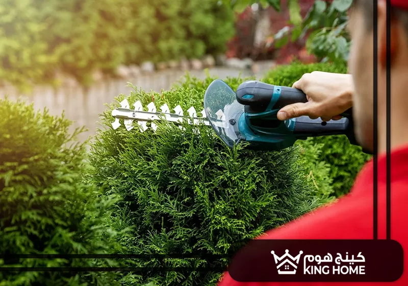 تنسيق حدائق العين و أبو ظبي