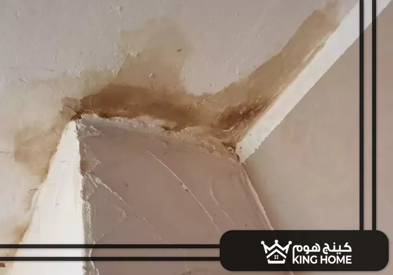 معالجة الرطوبة في الامارات