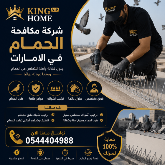 شركة مكافحة الحمام في الامارات