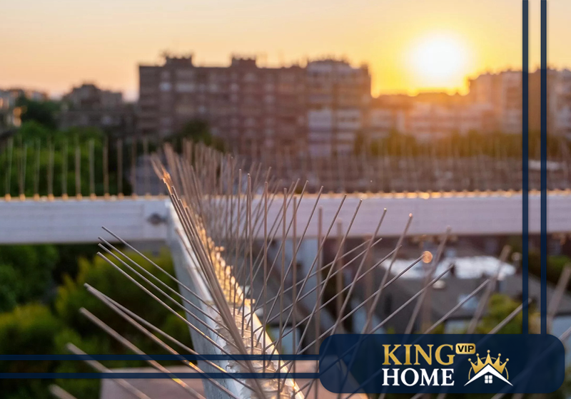 اسعار شركة مكافحة الصراصير في الامارات اسعار شركة مكافحة الصراصير في الامارات