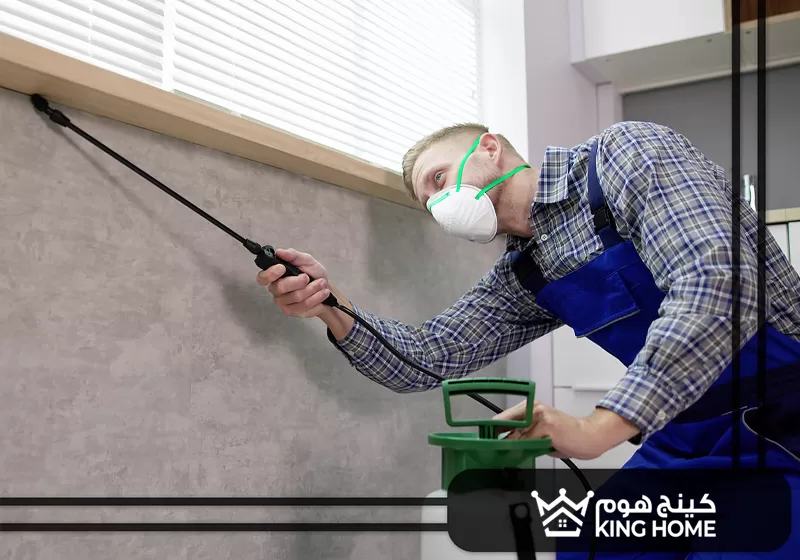 شركة مكافحة حشرات في دبي