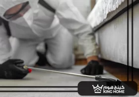 شركة مكافحة حشرات في ابوظبي