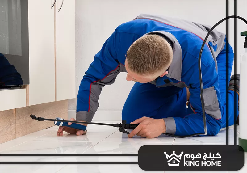 شركة مكافحة حشرات في العين