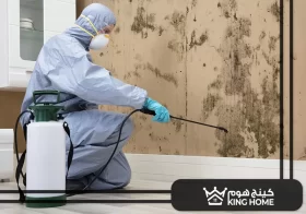 شركة مكافحة حشرات في راس الخيمة