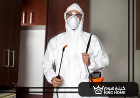 شركة مكافحة حشرات في ام القيوين