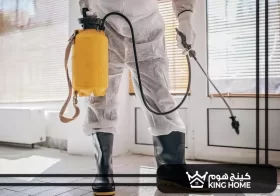 شركة مكافحة حشرات في الفجيرة