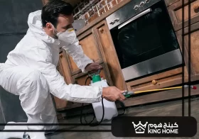 شركة مكافحة حشرات في عجمان