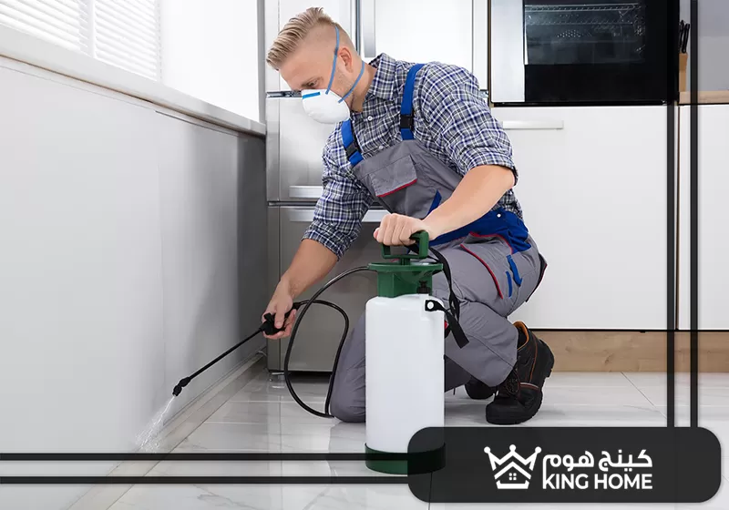 شركة مكافحة حشرات في الشارقة