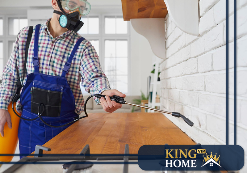مكافحة حشرات المنزل في الفجيرة كينج هوم 0544404988 مكافحة حشرات المنزل في الفجيرة